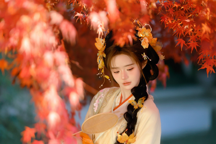 走向共和 封面